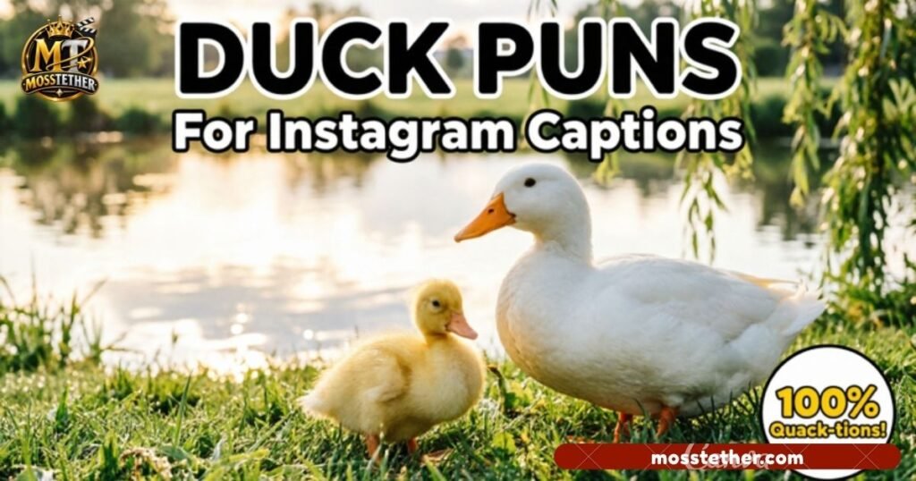 Duck Puns for Instagram Captions
