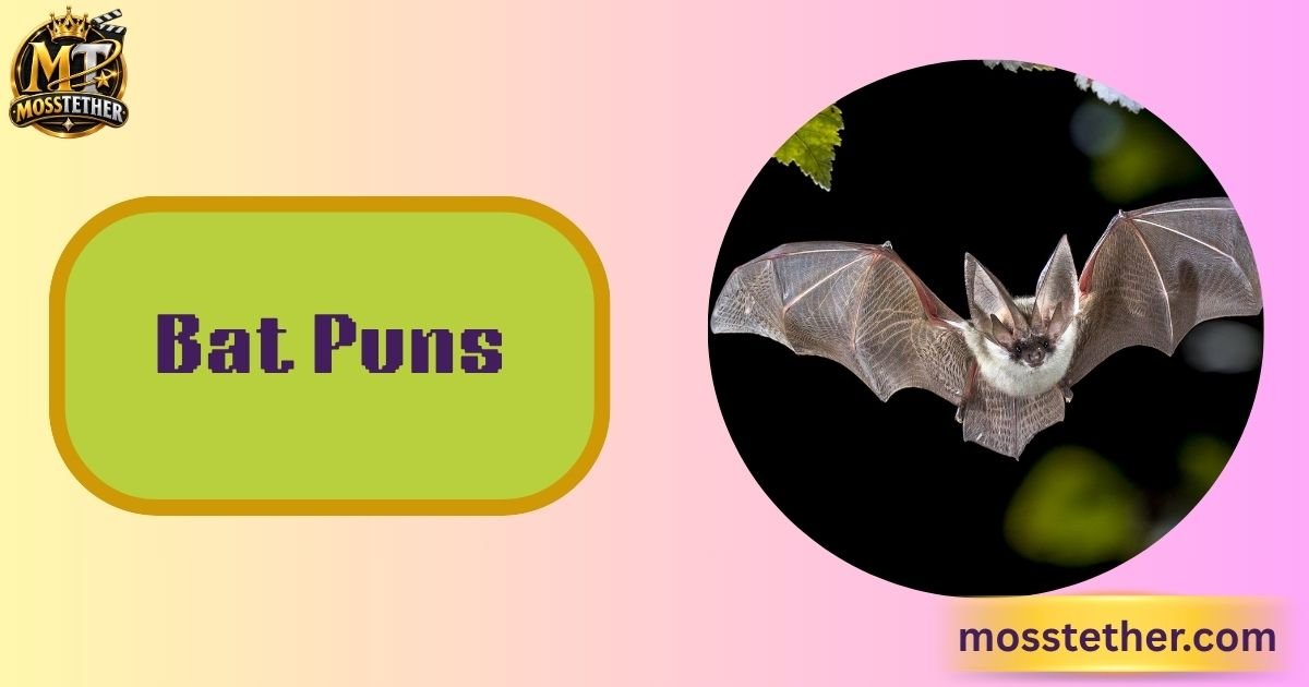 Bat Puns